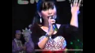 hasrat murni Voc. Evis renata (camelia)