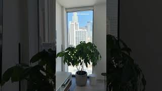 Enjoying My Adult Money