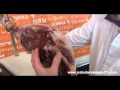 Aprendiendo a cortar jamón con José Mª Ibarrola (I)