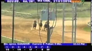 Jinete frena a Banting para impedir que gane / 6ta carrera / Rancho Alegre / 27-01-2014