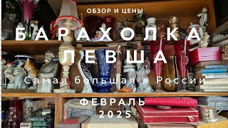 :       |  |  2025
