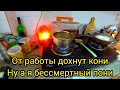 9. Я загнанная лошадь! Расхламляюсь! Это возмутительно! Помыть полы или покрасить ногти? Путтапарти.