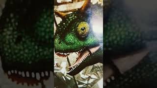 Ark Tlc Carno Vs Novel Carnotaurus