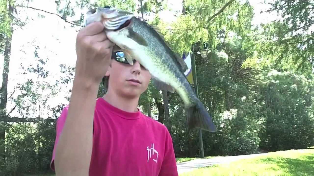 kayak flight Cranes Roost Bass Fishing (Part 3)