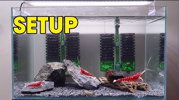 Hướng Dẫn Setup Bể Tép SULA Rất CHI TIẾT • Nhập Môn Tép SulaWesi • Phần 1