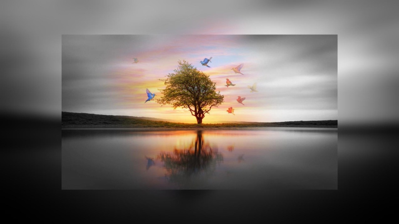 BronterS - Fire Tree (Offcial Audio)