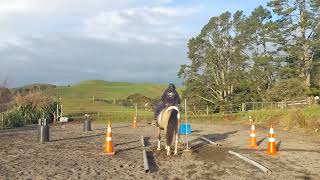 DONNA & Darcy Girl ,June 2026 Gate exercise Virtual WE