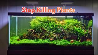 How to grow aquarium plants for a NOOB