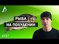 Рыба для похудения / Рыба на похудении / Диета похудение скачать диету бесплатно