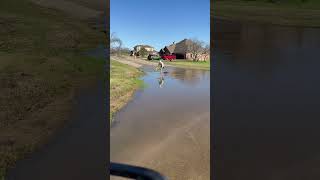 Storm skimboarding #reels #skimboard #shredthegnar #skimboarding