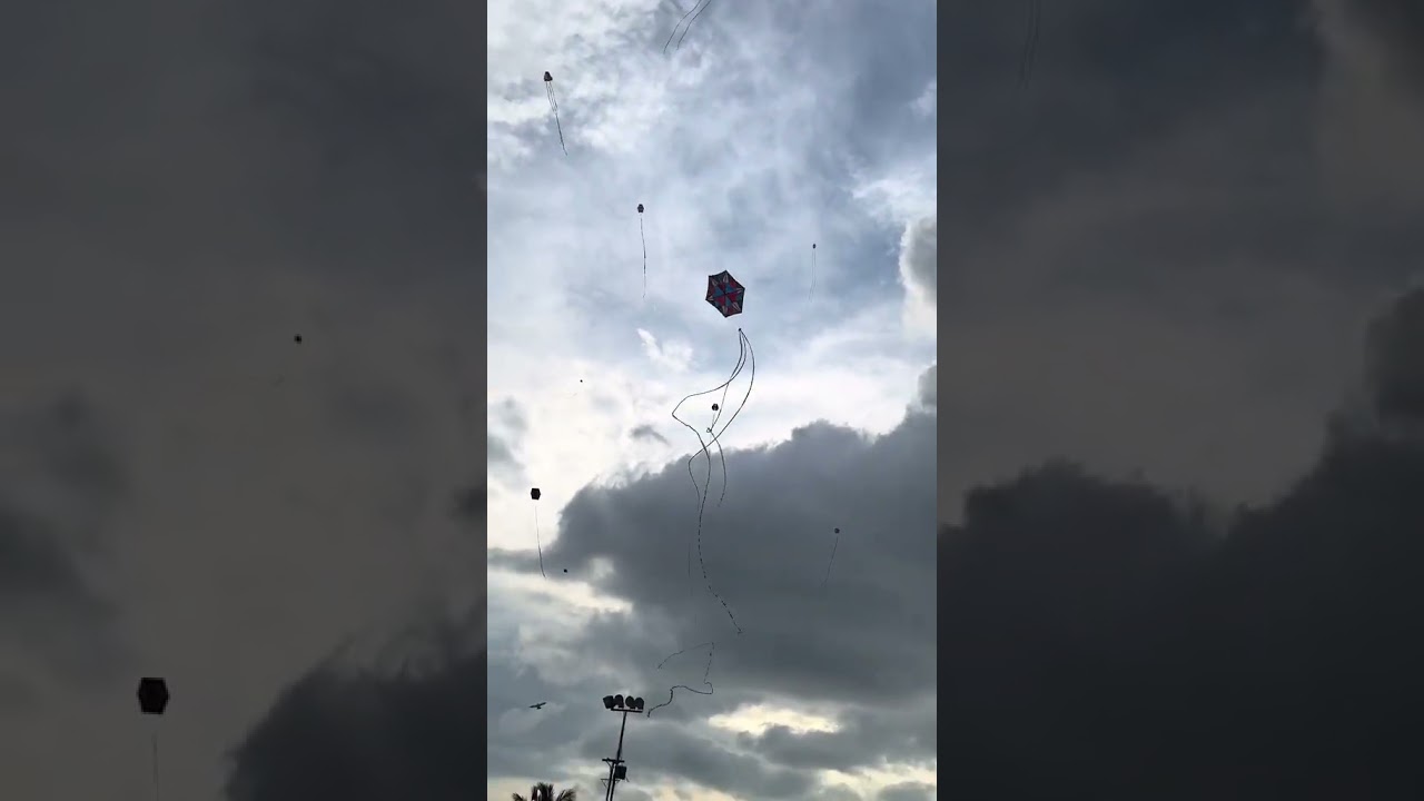 kite flying in Grenada 🇬🇩 