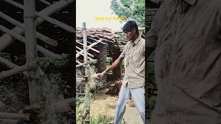 Wait For And #youtubeshorts #shorts #trending #viral