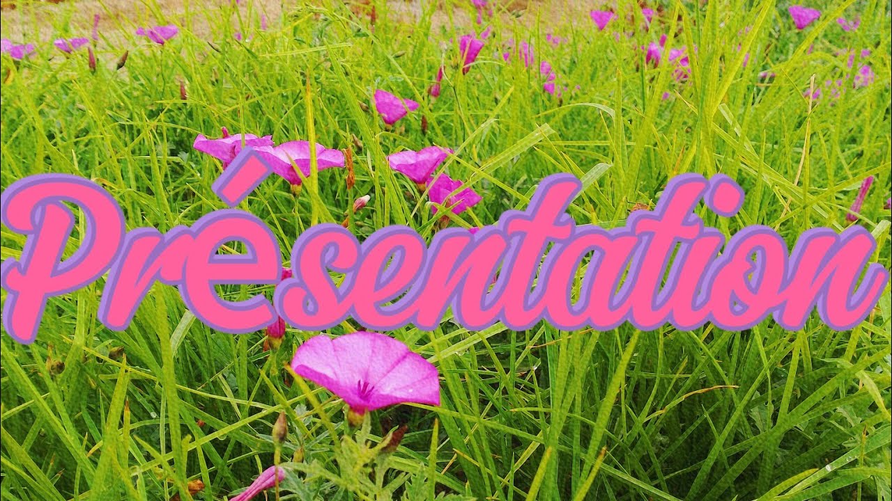 Comment faire une "Présentation" - YouTube