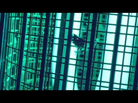 Ultimate Bug Zapper Electrocution-The Green Mile For Insects