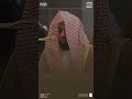 قطف من فجر 20 جمادى الاخرة 1446هـ لـ فضيلة الشيخ عبدالله الجهني حفظه الله Quran Shorts 