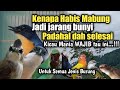 Setelah mabung jadi gak GACOR kenapa||kicau mania harus tau ini