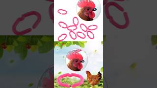 Poultry Products #nosepin #eyeblander #dummyegg #poultry #farming #hensfarming