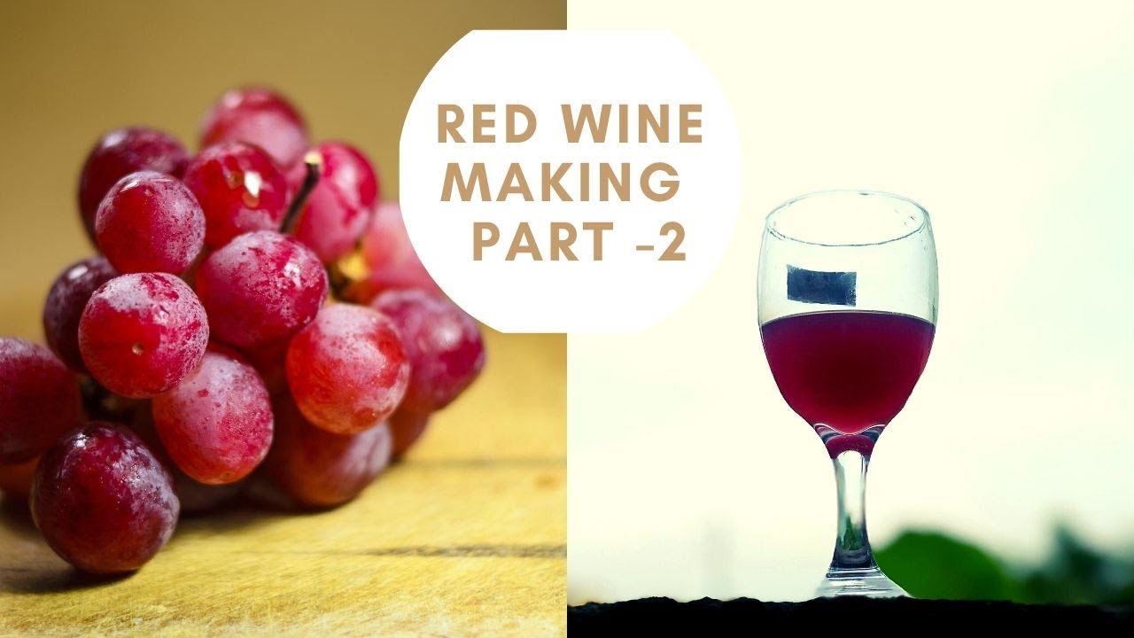 RED WINE WITHIN 17 DAYS  How to make Easy Homemade Wine PART 17