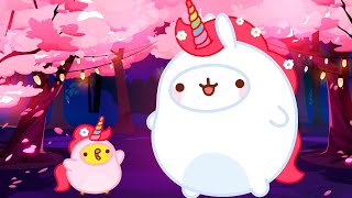 Molang 🌸 BEST EPISODES 🐰 Cartoon for kids Kedoo ToonsTV