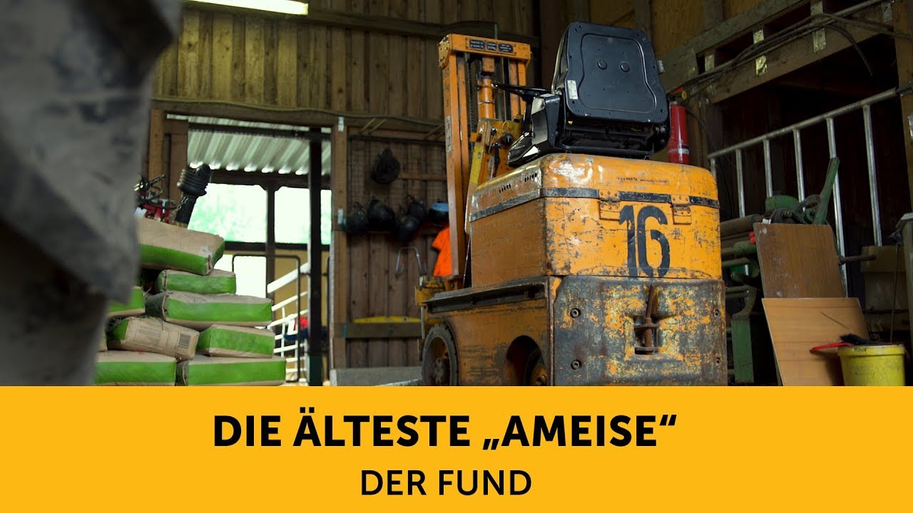 Die Alteste Ameise 1 Der Fund Youtube