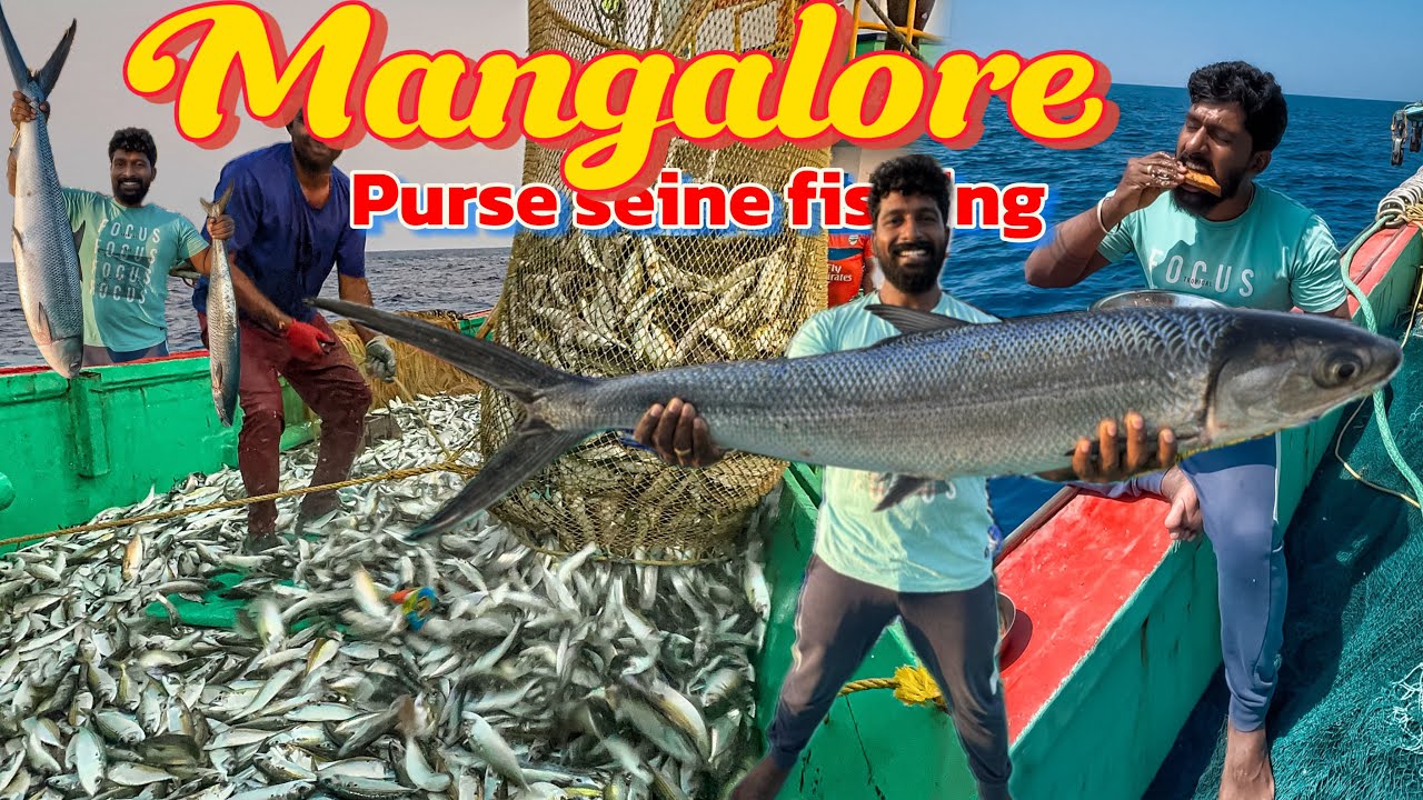 Amazing 🤩We caught 2 tons of Mackerel fishes in single catch | Day 1 Mangalore purse seine boat.