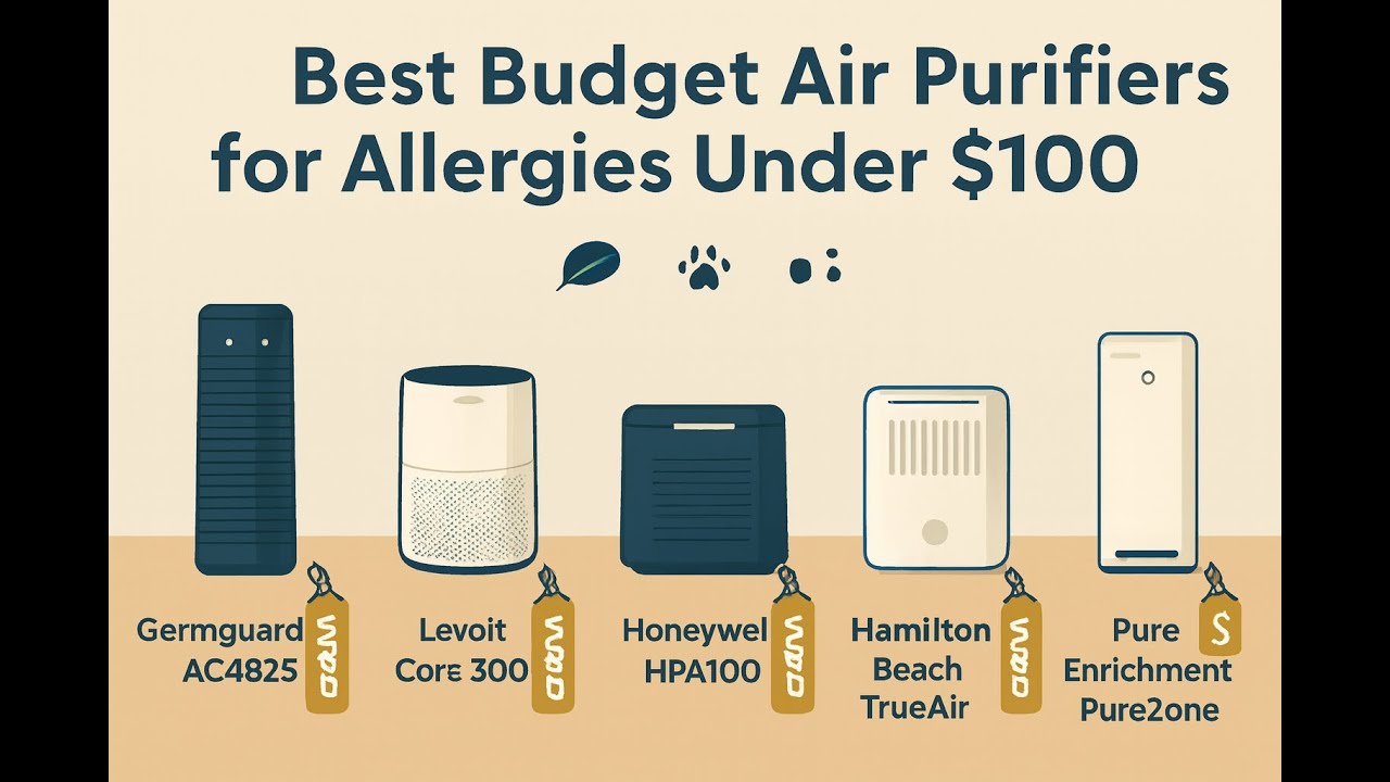 Best Budget Air Purifiers for Allergies Under 100