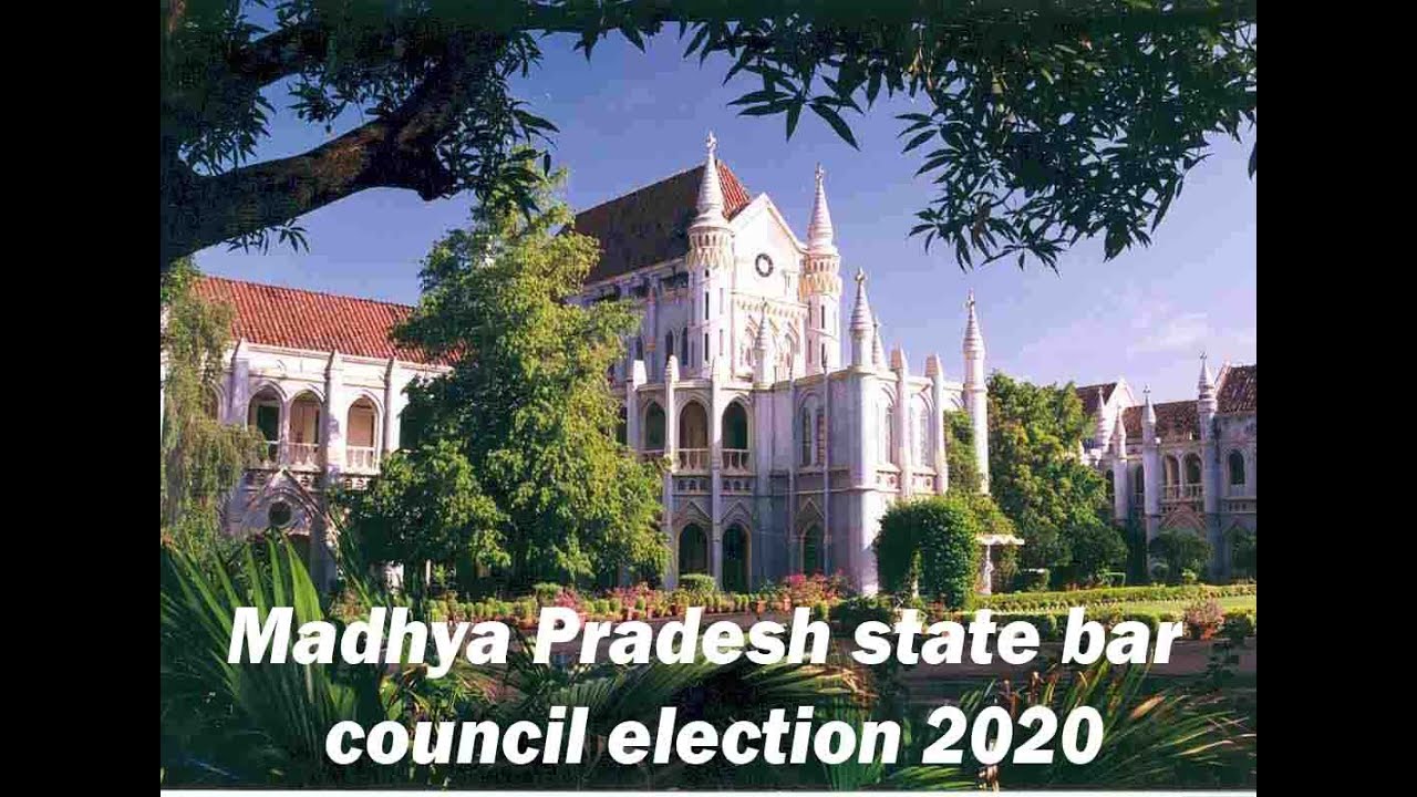 Madhya Pradesh state bar council election 2020 Result day 3 YouTube