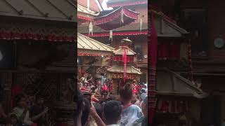 Colors, culture, and chaos in perfect harmony 🎭✨ #Chandeshworijatra #bhaktapur #youtubeshorts #nepal