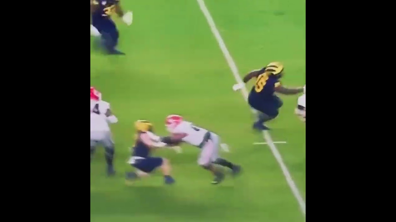 College football's best pass rusher or newborn giraffe? You choose