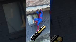 Oblock Spider-Man