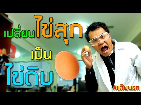 แล็บนรก EP.1 วิธีเปลี่ยนไข่สุกให้กลับเป็นไข่ดิบ