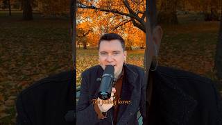 The autumn leaves drift by my window… 🍂🪟 #autumnleaves