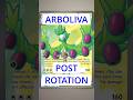 ARBOLIVA POST ROTATION DECK LIST