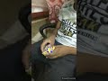Rubik's cube solve challenge