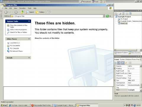 How to publish a project in Visual Basic.