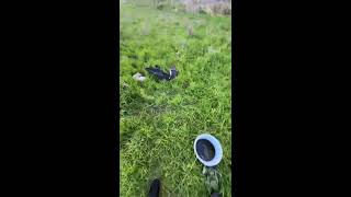 Outdoor Wild Fishing Live
