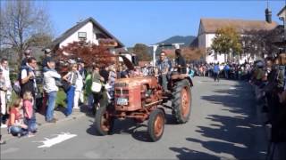 Oberried Oldtimer Traktoren Parade