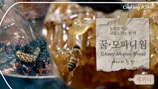 [세끼니] 바야카족의 한 끼, 꿀&amp;모파니 웜｜Cooking ASMR｜meal of Bayaka tribe, Honey&amp;Mopane Worms