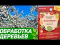 Искореняющая обработка сада. Обработка плодового сада от болезней и вредителей