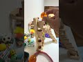 Marble Run ASMR 5 Color Racing Course ⭐ Drum Relaxation 9