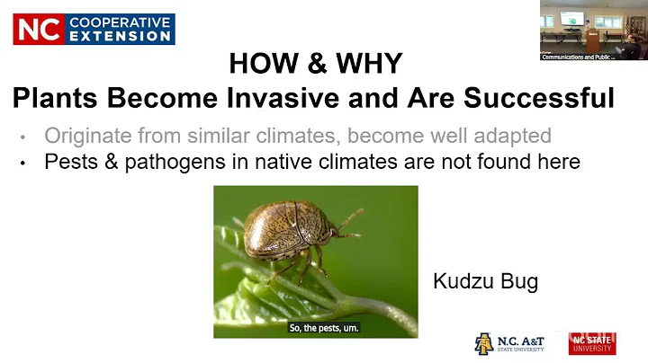 Land Recovery Series - Home Invasive Species Management Post-Helene