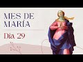 Mes de María, oraciones y meditación 🔴 Día 29