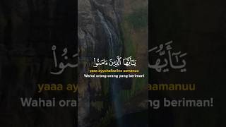 Sholawat Murotalbacaan Al Quranal Quran 30 Juzalquran 30 Juz  Merdu ayatsuci 30juz