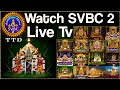 Live vedaparayanam  tirumala  svbc2 tamil live streaming  svbc ttd