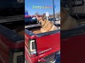 🤣👌👌👌2025 pov Must-Watch Crazy Clips Compilation #humor #fypシ #pov #fyp #foryou 😍😜 (2)