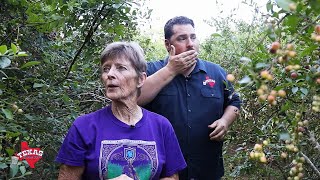 The texas bucket list - blueberry ...