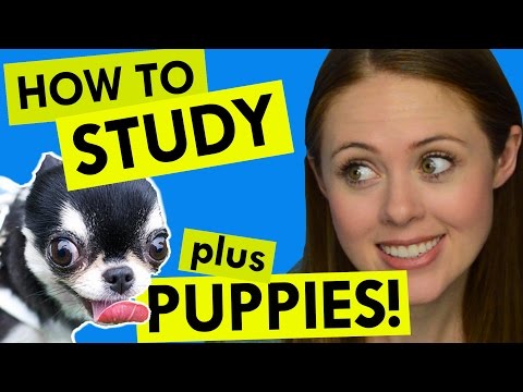 How to Study! Prepping for Finals Part 2 thumbnail