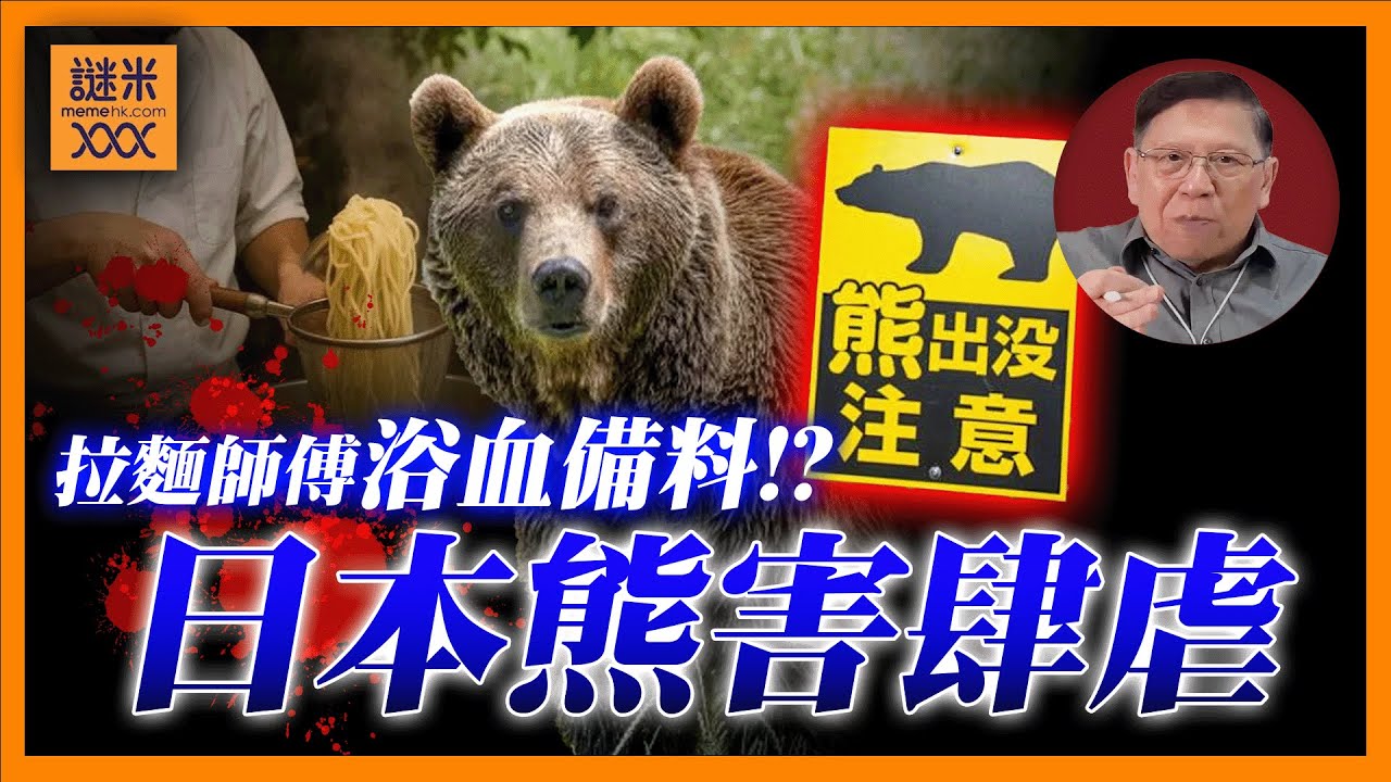 AI中英字幕)日本熊害肆虐！全國已有13人死亡！拉麵師傅遭襲擊依然持續