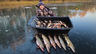 видео: ЗИМНЯЯ РЫБАЛКА 25-26, ПРОДОЛЖАЕМ ПОКОРЯТЬ ПЕРВЫЙ ЛЁД, МАКСИМ ПАПКУ ОБЛОВИЛ ПО ПОЛНОЙ ПРОГРАММЕ)! картинка: ЗИМНЯЯ РЫБАЛКА 25-26, ПРОДОЛЖАЕМ ПОКОРЯТЬ ПЕРВЫЙ ЛЁД, МАКСИМ ПАПКУ ОБЛОВИЛ ПО ПОЛНОЙ ПРОГРАММЕ)!