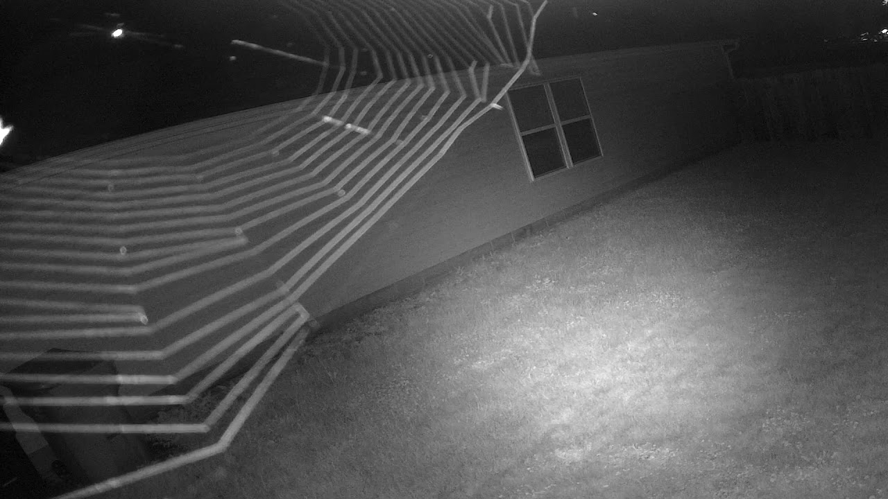 Spider  Infrared 60FPS YouTube